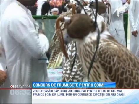Concurs de frumusețe pentru șoimi