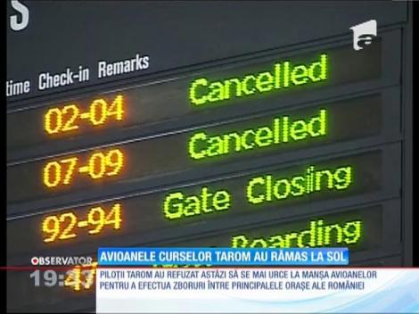 Avioanele curselor Tarom au rămas la sol