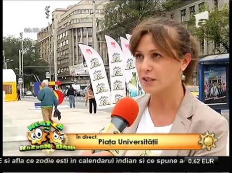 Vremea cu Flavia Mihăşan: Ploile se mențin în vestul țării