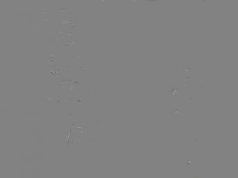 Flavius şi Dănuţ, victimele farmecelor Ralucăi!