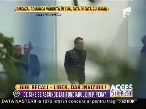 Gigi Becali este liber, dar invizibil!