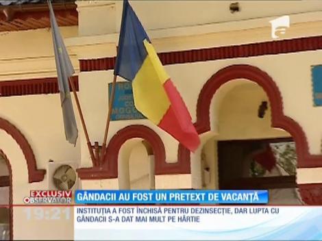 Primărie închisă pentru că angajaţii au plecat într-un weekend prelungit la munte