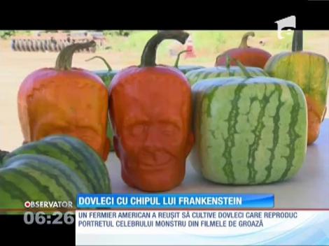 Dovleci cu chipul lui Frankenstein