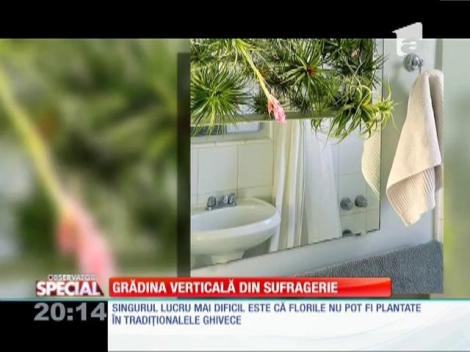 Grădina verticală din sufragerie