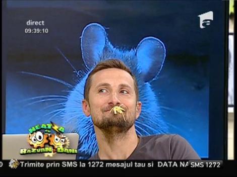 Dani, șoricelul simpatic!