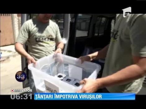 Ţânţari împotriva virușilor