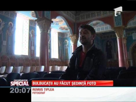 Bulbucaţii au făcut şedinţa foto