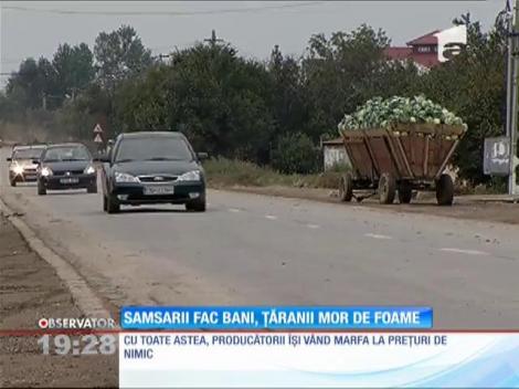 Samsarii fac bani, țăranii mor de foame