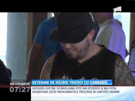 Veterani de război trataţi cu Cannabis