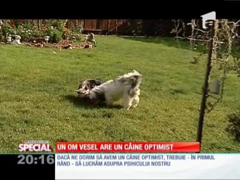 Special! Un om vesel are un câine optimist