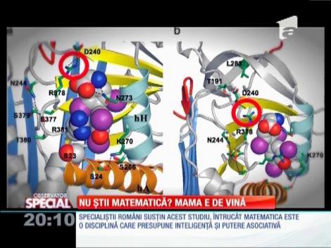SPECIAL! Talentul la matematică, influenţat de mamă în timpul sarcinii