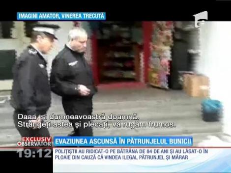 Amenzi pentru bătrânele care vând pătrunjel în stradă