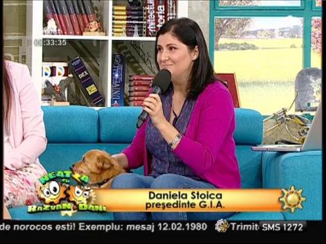 Adoptă un c&acirc;ine!