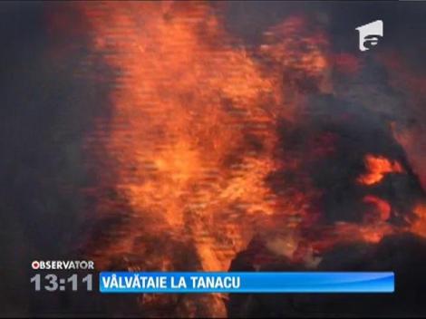 În comuna vasluiană Tanacu au ars 50 de tone de fân