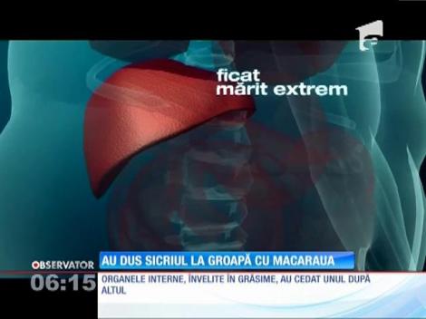 Cea mai grasă femeie din România a fost înmormântată cu ajutorul unei macarale