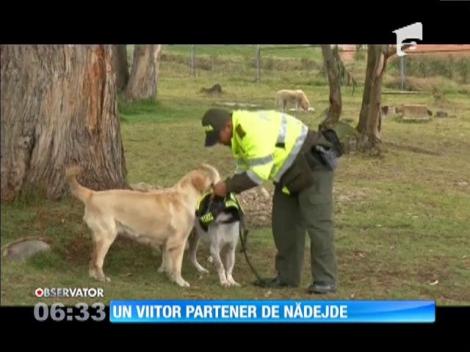 Un viitor partener de nădejde