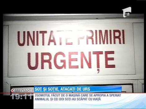 Doi bătrâni, soţ şi soţie, au fost atacaţi de urs, în drum spre casă!