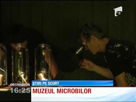 Muzeul Microbilor din Amsterdam a fost deschis