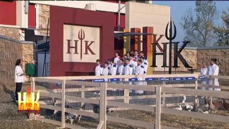 O nouă probă de fier pentru concurenți! Animalul prins a trebuit GĂTIT!