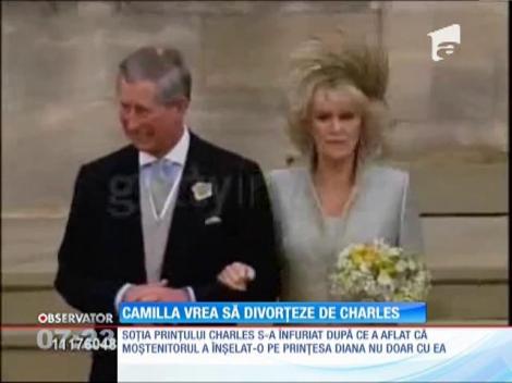Prinţul Charles şi Camilla se gândesc la divorţ