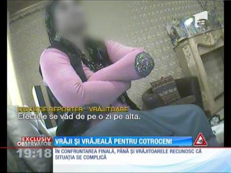 Succes în politică, 3 boi la vrăjitoare