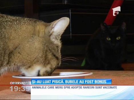 S-ar fi putut umple de boli după ce a adoptat o pisică