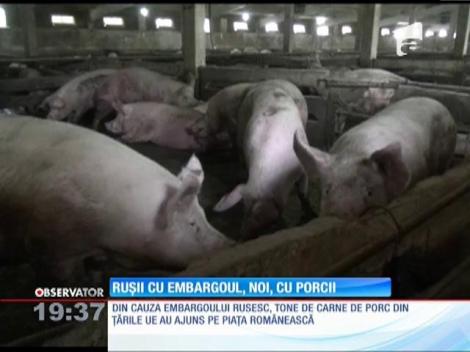 Piaţa românească, invadată de carne de porc din import