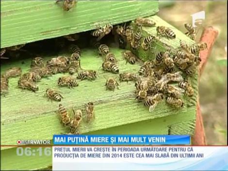 50 de apicultori s-au costumat în albine şi au protestat în faţa Ministerului Agriculturii