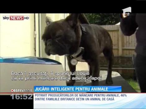 Jucării inteligente pentru animale