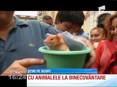 Cu animalele la binecuvântare