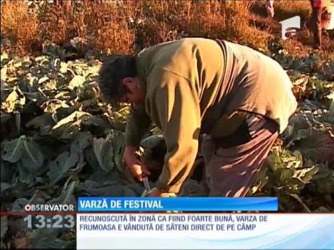 Festivalul tăierii verzelor, la Harghita