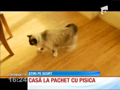Casă vândută la pachet cu pisica