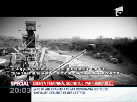 În căutarea parfumului perfect