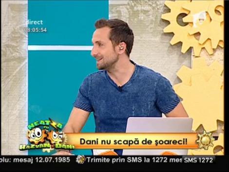 Dani nu a scăpat, încă, de șoricei!