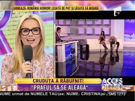 Nici că mai vrea să audă de vreo împăcare! Daniela este hotărâtă să păstreze distanţa faţă de Mihai Costea