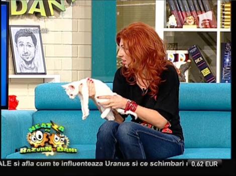 Candice Dragotă, crescătoare de pisici