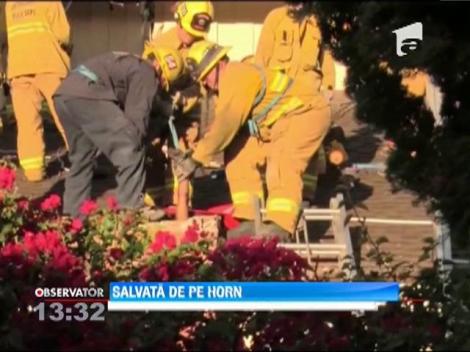 A încercat să-şi spioneze iubitul şi a rămas blocată în horn