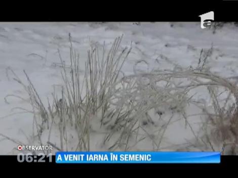 A venit iarna în Semenic