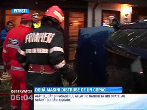 Piteşti: Un şofer a dărâmat un copac cu maşina, după ce a încercat să evite o groapă
