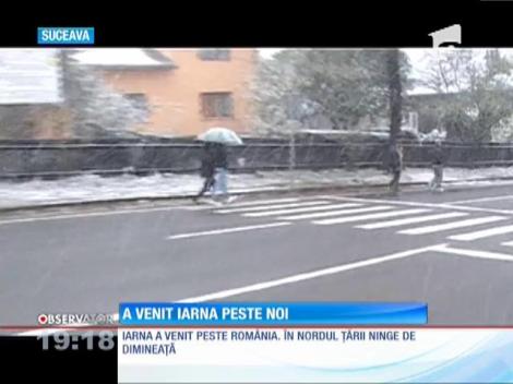 A venit iarna, în toiul toamnei!