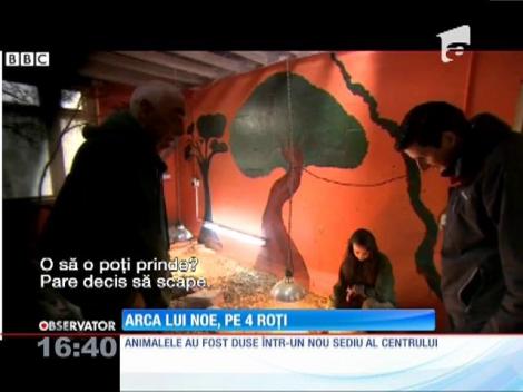 Arca lui Noe, pe 4 roți