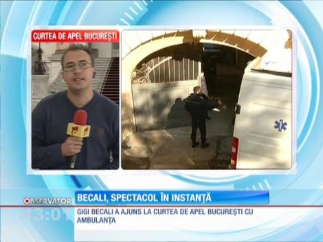 Gigi Becali a făcut circ la Curtea de Apel. Patronul Stelei a refuzat să jure pe Biblie!
