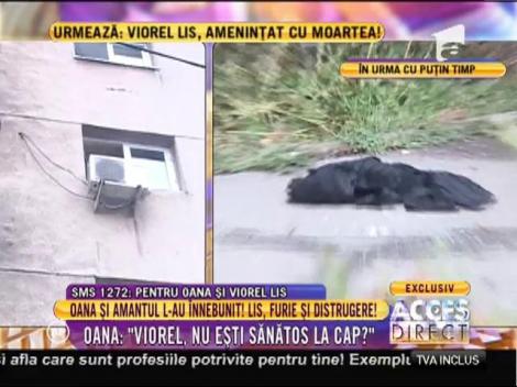 Oana Lis: ”Viorel mi-a aruncat hainele pe geam!”