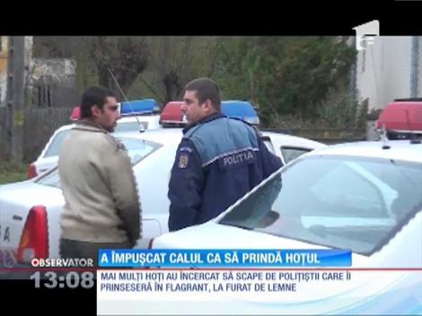 A împușcat calul ca să prindă hoțul