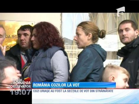 România alege! Sute de persoane stau la coadă la secţiile de vot