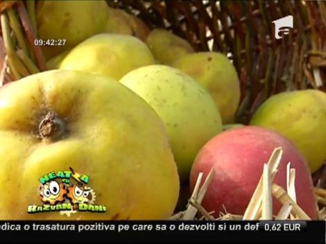 Targul tradițional din inima Bucureștiului