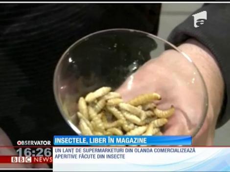 Insectele, liber în magazine