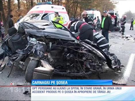 Carnagiu pe o şosea în apropiere de Târgu Jiu