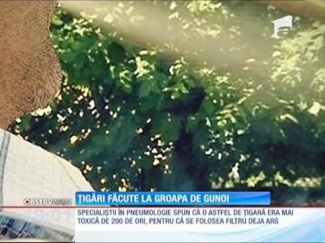 Ţigări din deşeuri! Şi conserve din gunoaie!