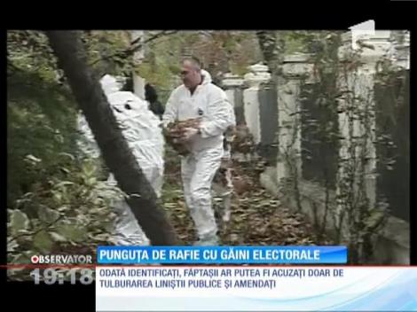 Punguţa de rafie cu găini electorale